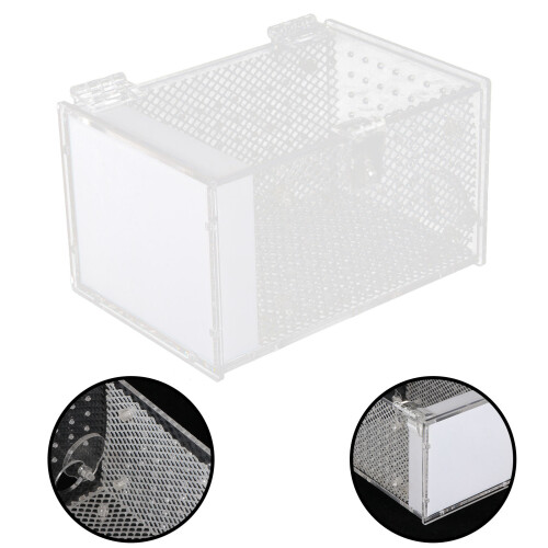 caja alimentación acrílico para mantis e 2