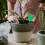 30 Pezzi Scatole Per Fertilizzante Con Per Giardinaggio 10