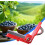Plant Finger Cutter, Separating Tool for Fruit and Vegetable Picking, Precision Picker 2