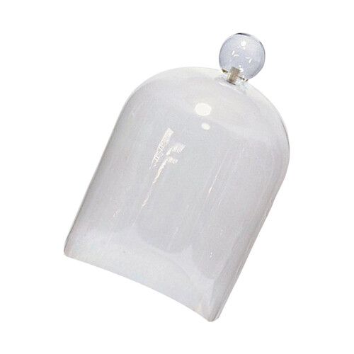 Modern Smoker Infuser Dome For Cocktails Presentation And