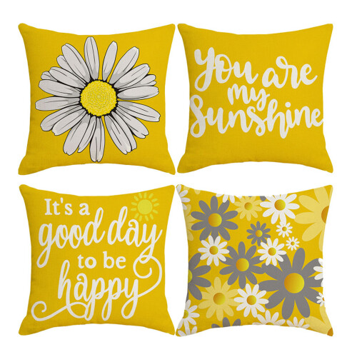 Μαξιλαροθήκη διπλής όψης εκτύπωσης, καλύμματα μαξιλαριού οσφυϊκής μοίρας,