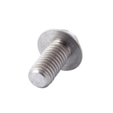 6 Titanium Schroeven Voor Mountainbike Remschijf ( )