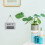 Wifi Passwort Schild Holz Grau 1 7