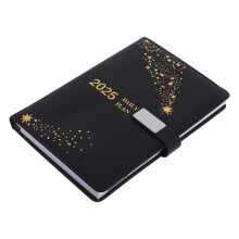 Daily Planner 2025 Weekly Monthly Mit Tabs PU Leder A5