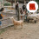 1Pc Red Plastic Iron Livestock Feeder Box for Sheep Cattle Feeding 8