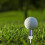 Golf-Tees aus Kunststoff mit langer Ballbasis und 11