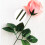 Juego De Material Para Flores De Bricolaje Con Accesorios 7