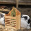 Rabbit Bunny Hooivanger Hooibox Rek Gras Dier 6