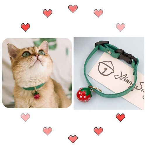 Bell Pet Halsband Ketting Kat Hond Xs 2