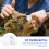 1 Set Eenvoudige Met Speen Kat Hond 8