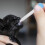 1 Set Eenvoudige Met Speen Kat Hond 10
