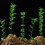 100Pcs 1:75 Plastic Bamboo Trees Model Train Scenery Green 5