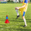 2 Plastic Markering Keegels Voor Agility Training 4