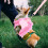Adorable Pet Geschirr Brustgurt Pink L 5