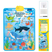 PVC Educational Wall Chart Kids English Language Learning-AG06