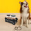 Set Houders Hondenkoekjespot Doos Hondenvoeding Snacks 4