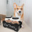 Set Houders Hondenkoekjespot Doos Hondenvoeding Snacks 5