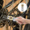 Pulley Kettingspanner Met Lagerschijf Voor Gemotoriseerde 11