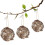 3Pcs De Material Para Nido De , Soporte Colgante Hecho 5