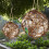 3Pcs De Material Para Nido De , Soporte Colgante Hecho 6