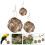 3Pcs De Material Para Nido De , Soporte Colgante Hecho 11