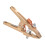Rusts Resistant Heavy Duty Ground Clamps with Easy-Type A 80 0 1