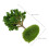10St Miniature Model - Realistische Plastic Voor DIY 2