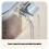 Functional Clear 4 Section Countertops Condiment-White 6
