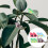 8Stk Harz Tischschmuck Garten 5