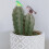 8Stk Harz Tischschmuck Garten 8