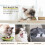 Essbare Katzenminze Zuckercreme Leckgesund Snackkugel 6