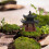 Unbranded  Pavilion Model Fish Tank Decor Hideout Aquarium Decorations 2