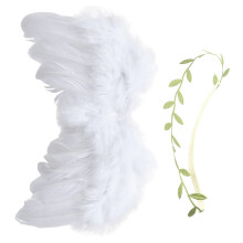 1 Set Newborn Angel Wings With Leaf Headband Photo Props