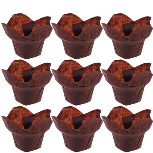 100 para muffins resistentes 2