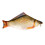 Stylo de rangement en forme de poisson, étui de rangement pour-1 1