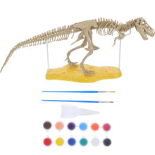 1 Set Diy Skeleton Met Realistische Voor Kinderen