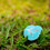 3Stk Golfs Linienmarkierer Kunststoff Golfball 10