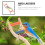 Papegaai Ladder Speelgoed Budgies 11