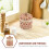Tea Canister with Lid Storage Jar for Loose Tea 8