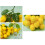 Branches de citron simulées exquises pour la mise en scène de la 5