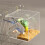 Boîte d'alimentation transparente pour oiseaux, conteneur-L 6