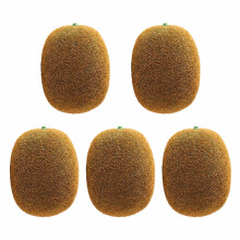 Kiwis artificiels d'apparence authentique, modèle de fruit