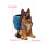 Practical Storage Box for Pens Border Collie Pencils Organizer 3