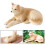 4Pcs Jungle Animal Model Realistic Wolf Figurines-White 6