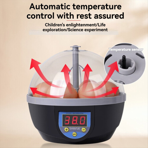 6 Egg Incubator Automatic Temperature Control Hatchery Machine Chicken Duck Quail Bird Brooder Eggs Incubator EU Plug 2