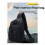 Angelköder-Brusttasche mit Rutenhaltern, Hüfttasche, Molle-Köderaufbewahrungsrucksack, Outdoor-Wandertasche 6