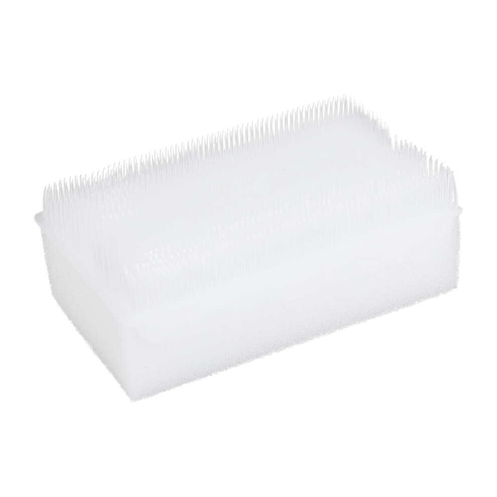 Nail Brush Nail Cleaning Brushes for Toe and Fingernail