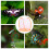 Butterfly Net Enclosure Butterfly Cage Kit Net 8