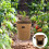 De Culture Pour Douce Arachides - Taille S 4 Gallons 5