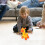 Interactive Electric Giraffe Toy With Pull Rope For Toddlers 3+ 5